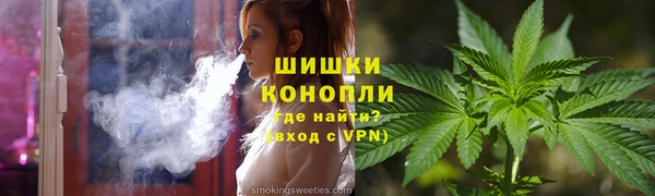 бошки Алексин