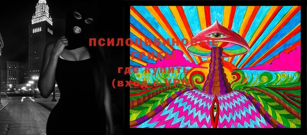 бошки Алексин