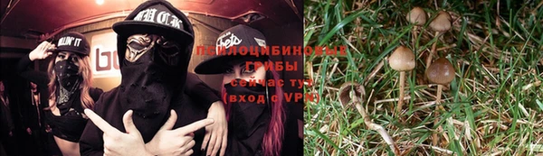 соль курить ск Алексеевка