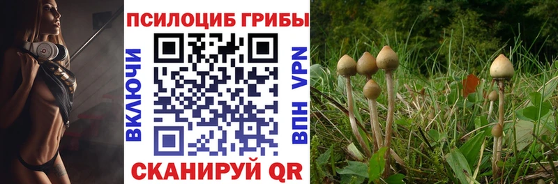 как найти закладки  Котлас  Галлюциногенные грибы Magic Shrooms 